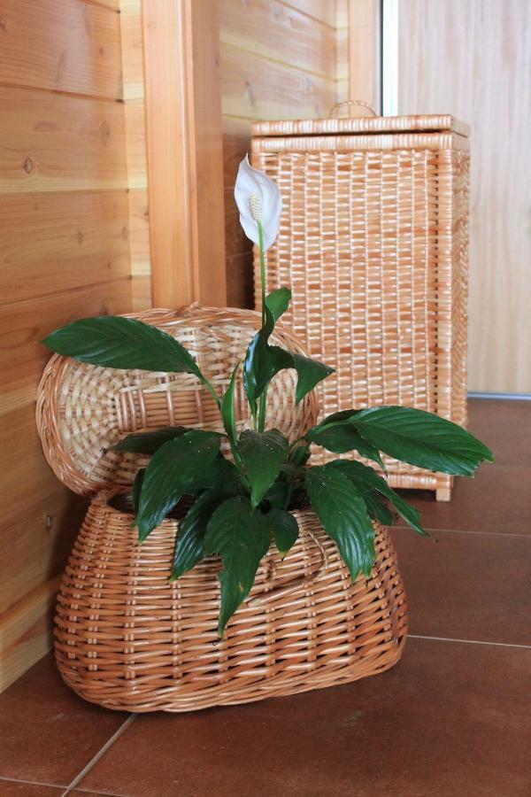 Quinta Da Pavoa - Cottage House Vila Franca do Campo Εξωτερικό φωτογραφία